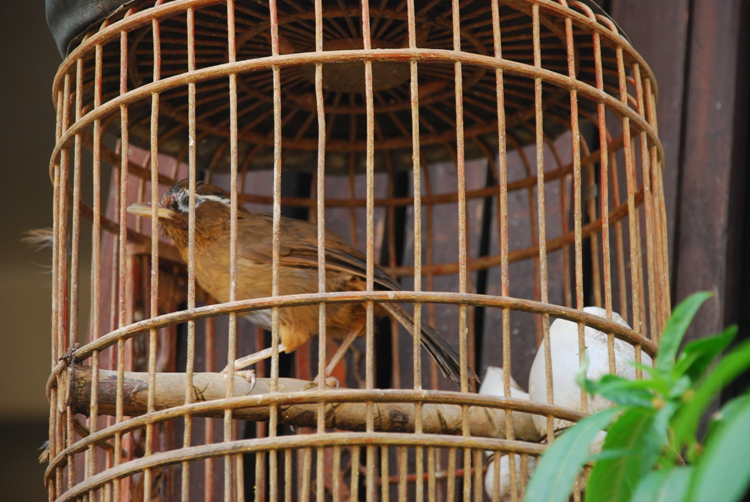 DSC_8519.jpg