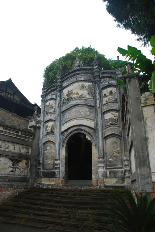 DSC_8582.jpg