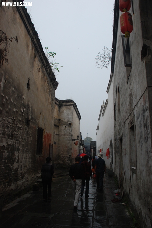 DSC_8600.jpg