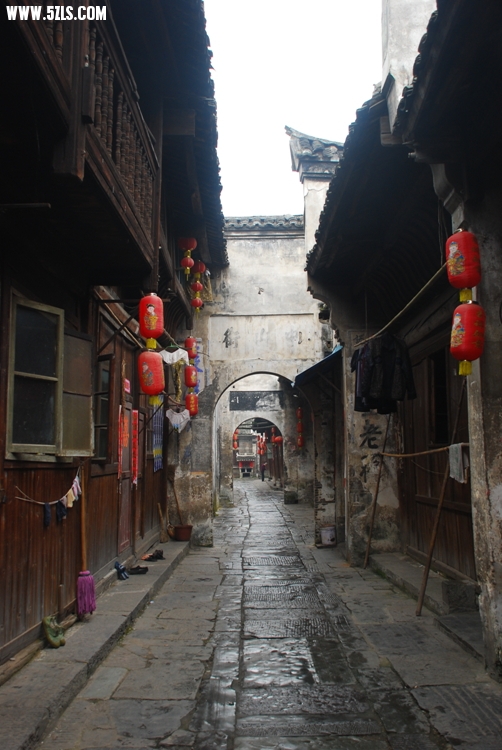 DSC_8602.jpg