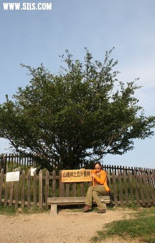 bailihuang 214.jpg