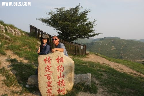 bailihuang 228.jpg