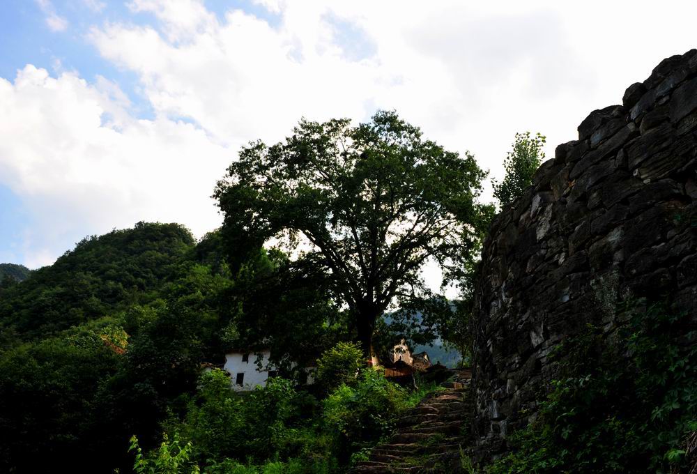 v02.jpg