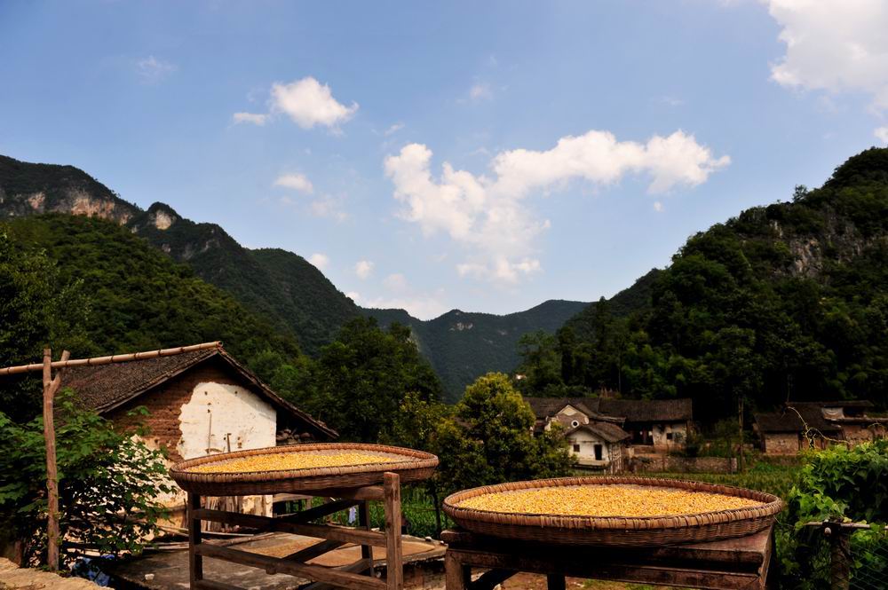 v03.jpg