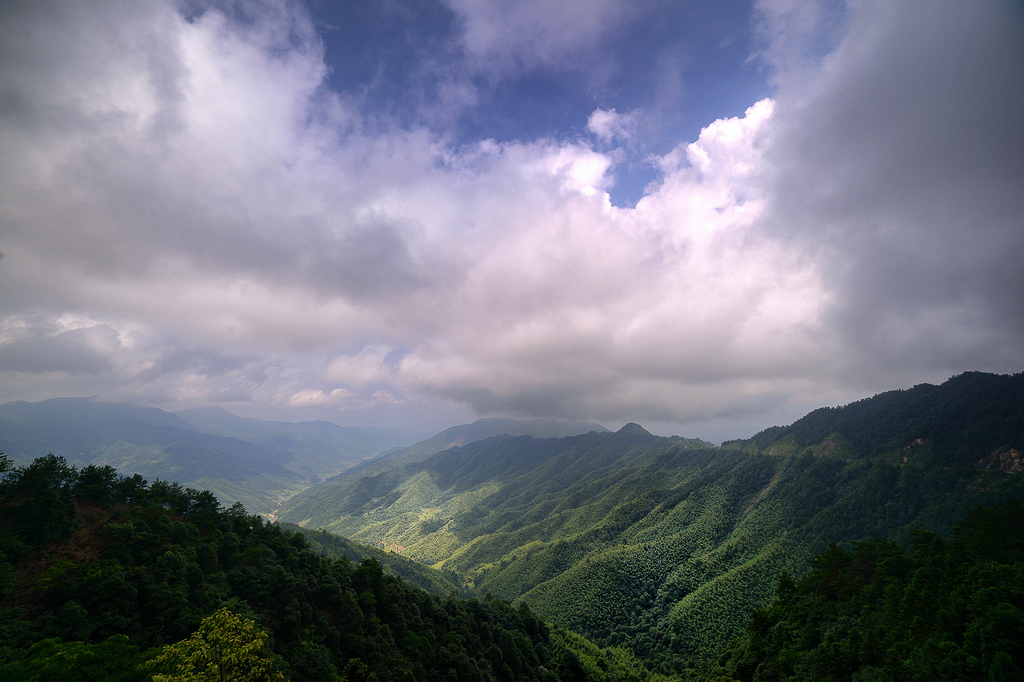 DSC_5816.jpg