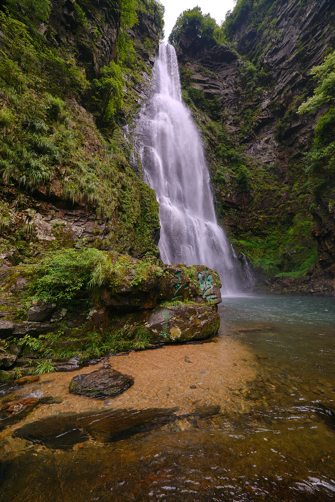 DSC_5895.jpg