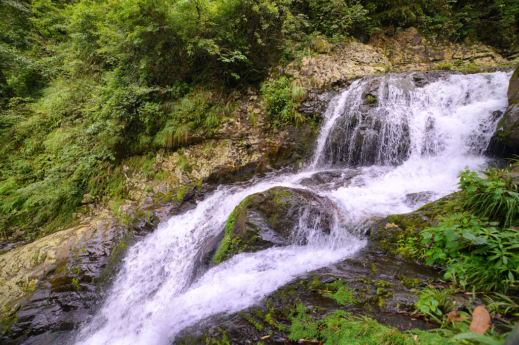 DSC_5930.jpg
