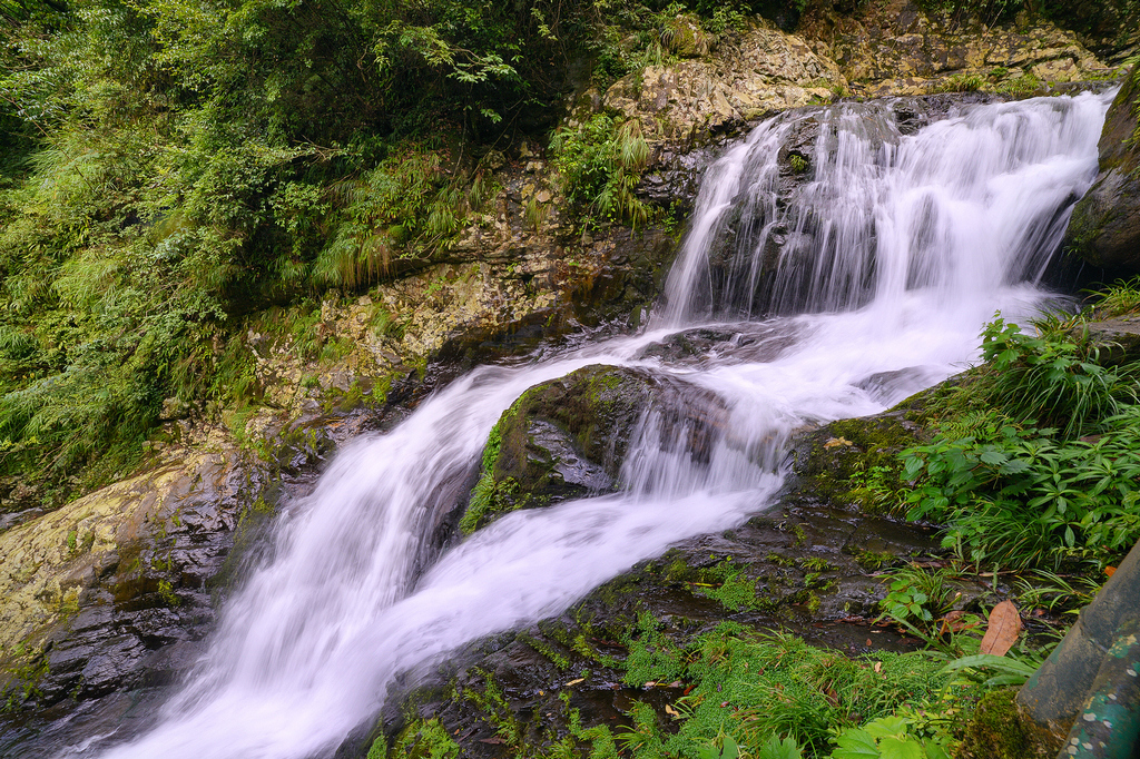 DSC_5932.jpg
