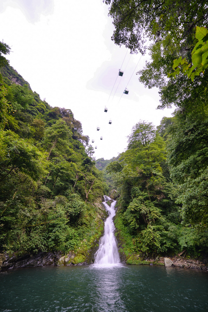 DSC_5936.jpg