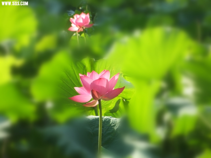 DSCF8830_.jpg