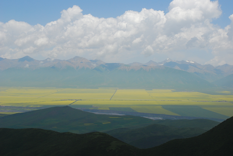 DSC_8808.jpg
