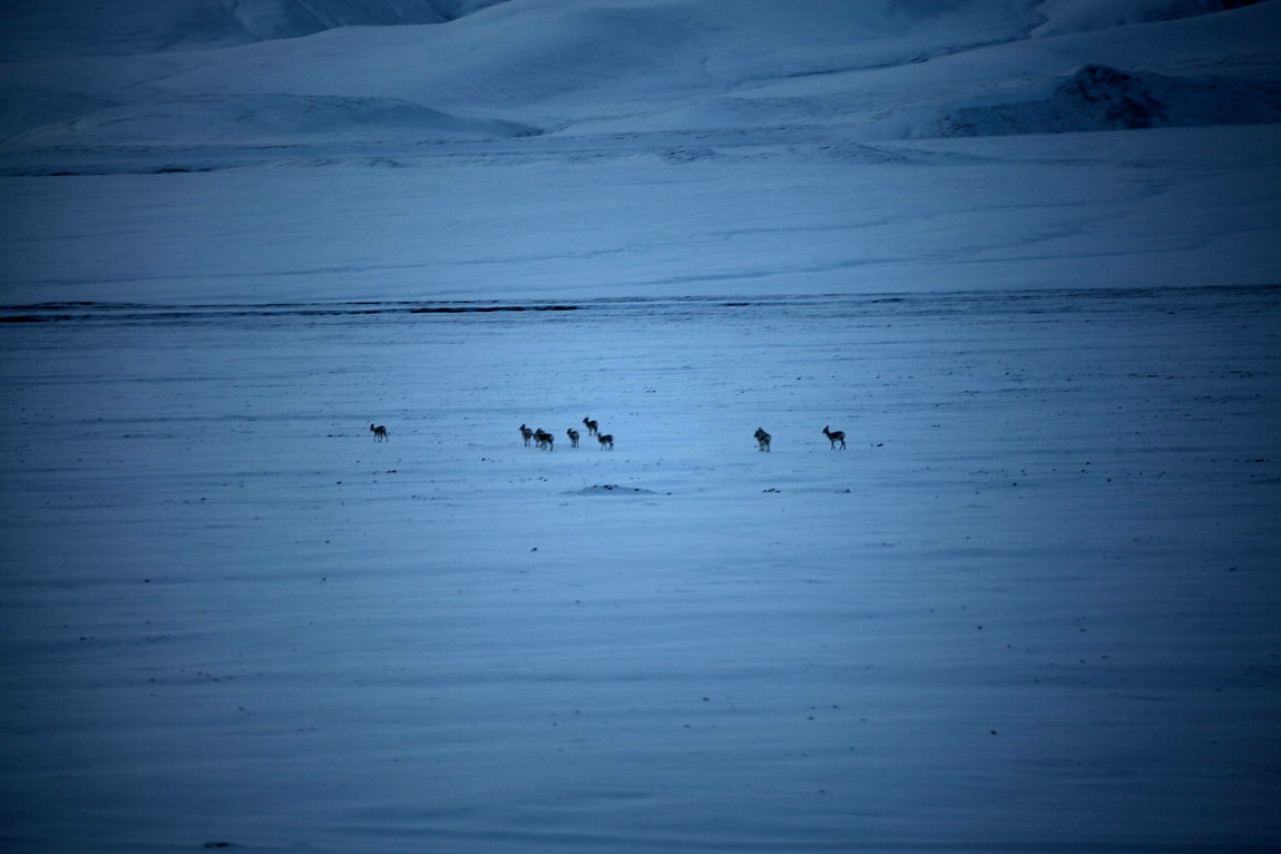Сļ0005.jpg