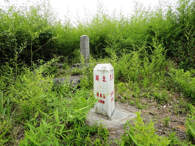 ͼ110  2008籮.JPG