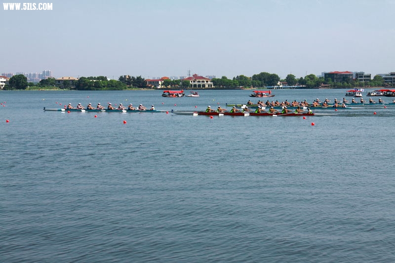 IMG_4230.jpg