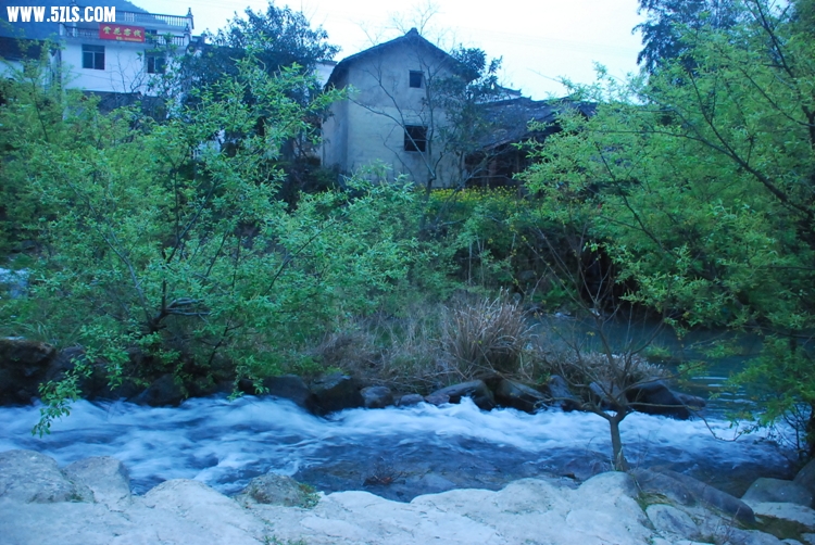 DSC_8705.jpg