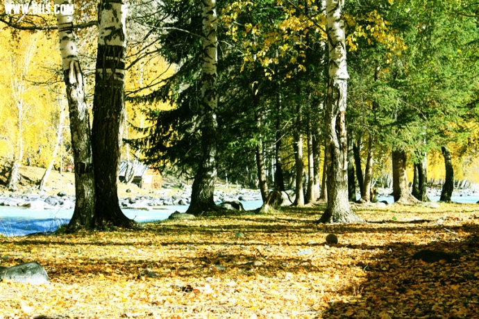 0 (13).jpg