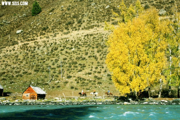 0 (15).jpg