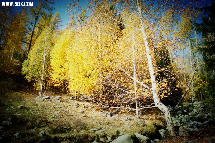 0 (33).jpg