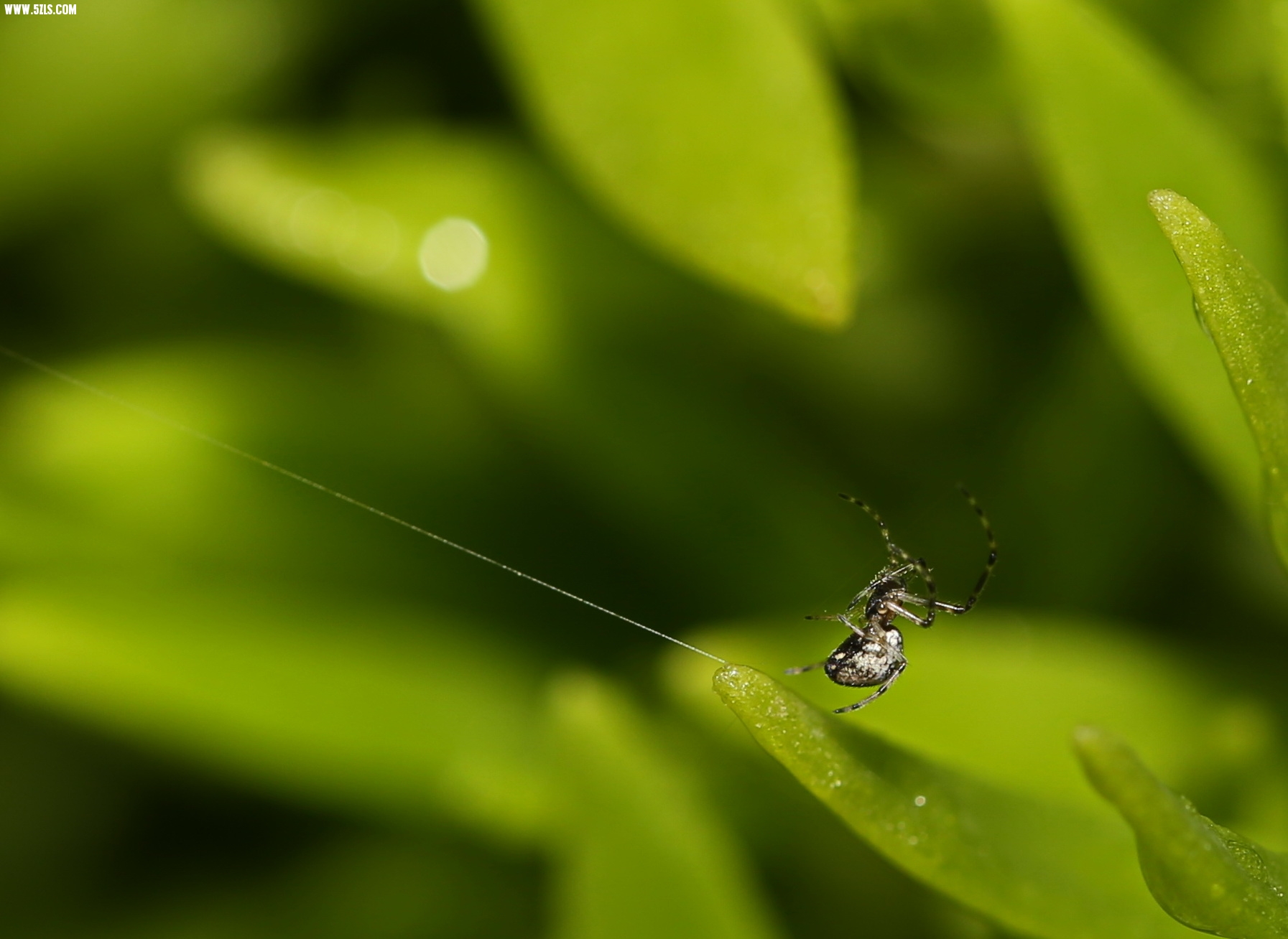 3C1A7407.JPG