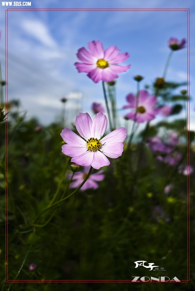 L8530311.jpg