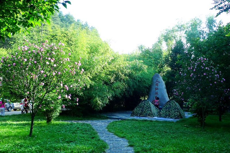 P1490650.jpg