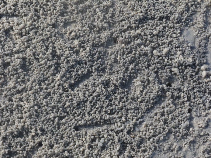 106.jpg