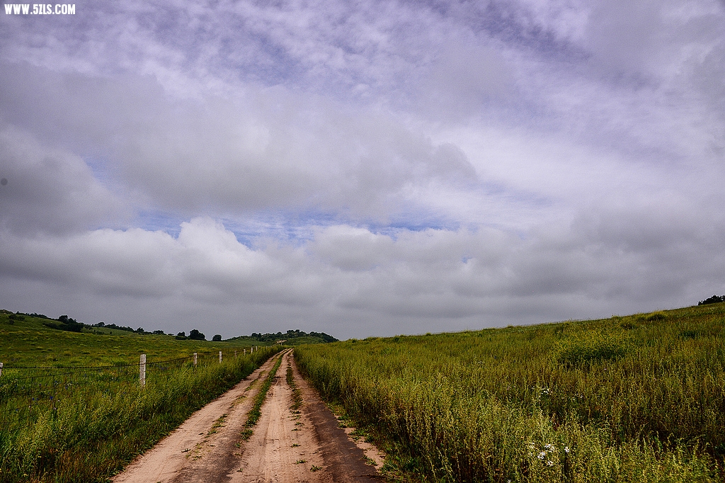 DSC_7182.jpg