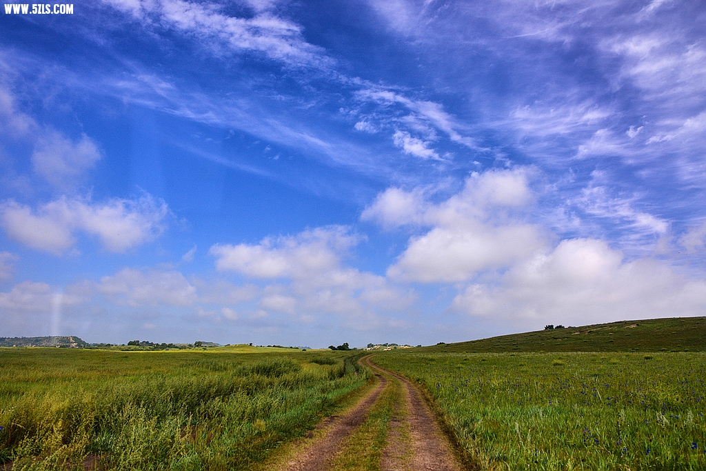 DSC_7220.jpg