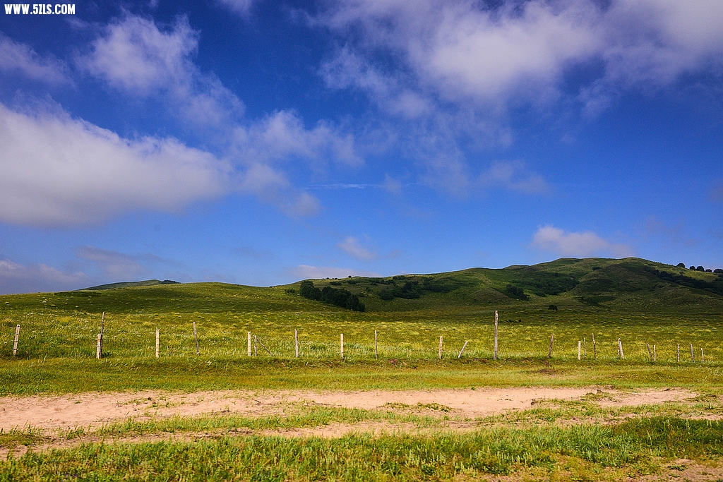 DSC_7241.jpg