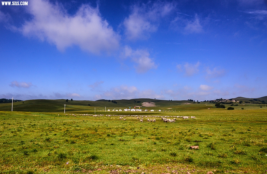 DSC_7249.jpg