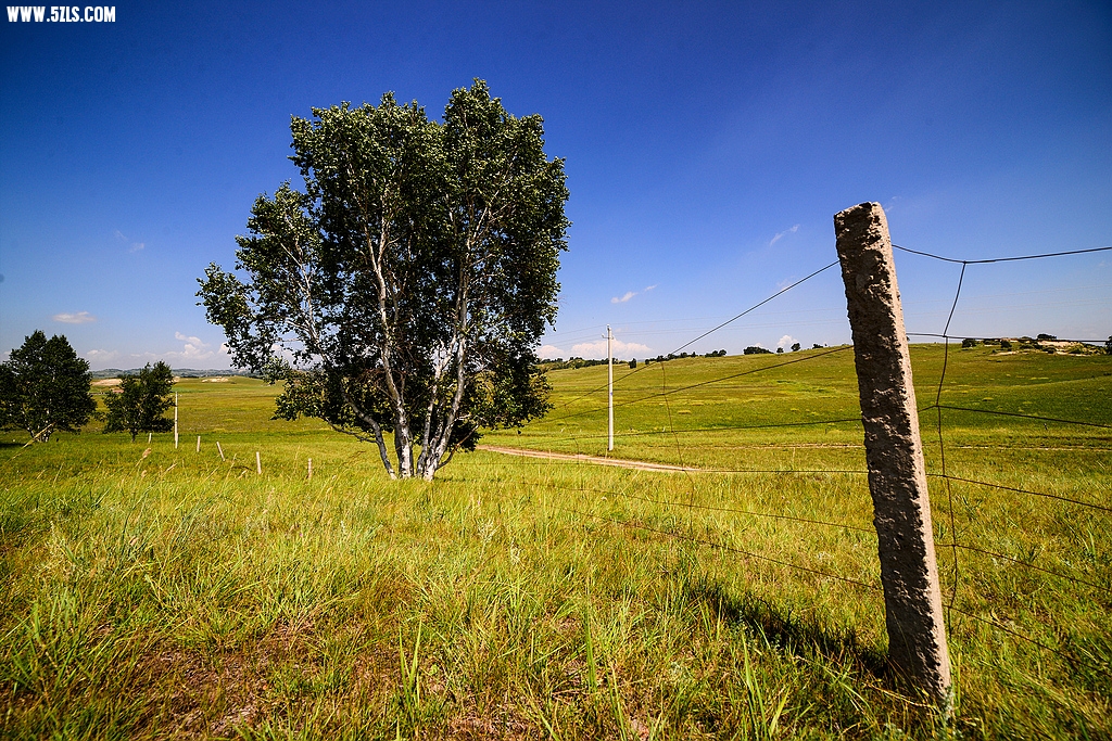 DSC_7376.jpg