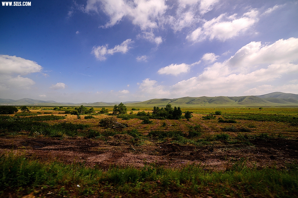 DSC_7815.jpg