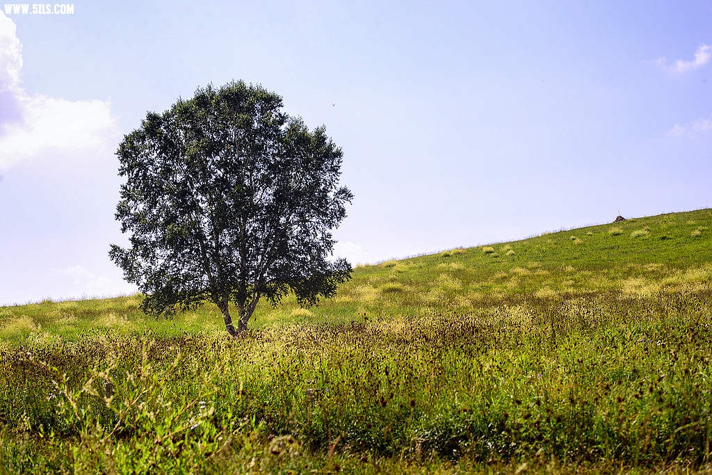 DSC_7902.jpg