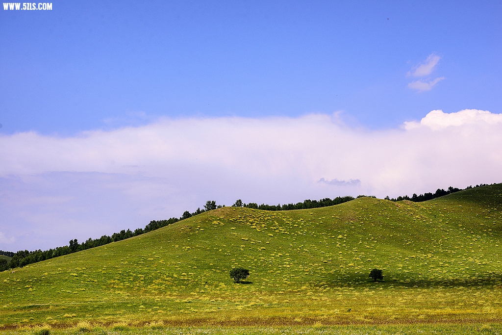 DSC_7905.jpg