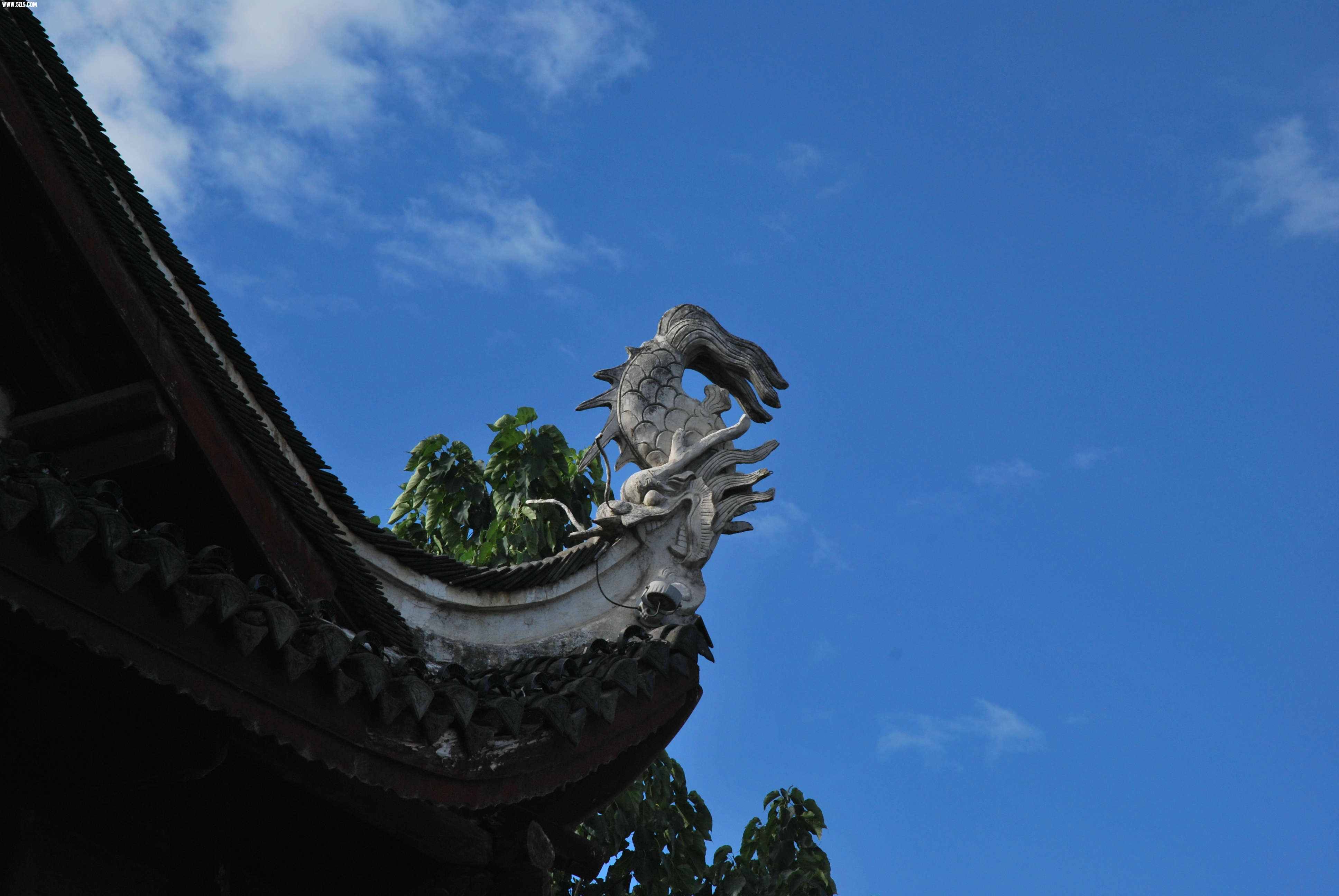 DSC_0647.JPG