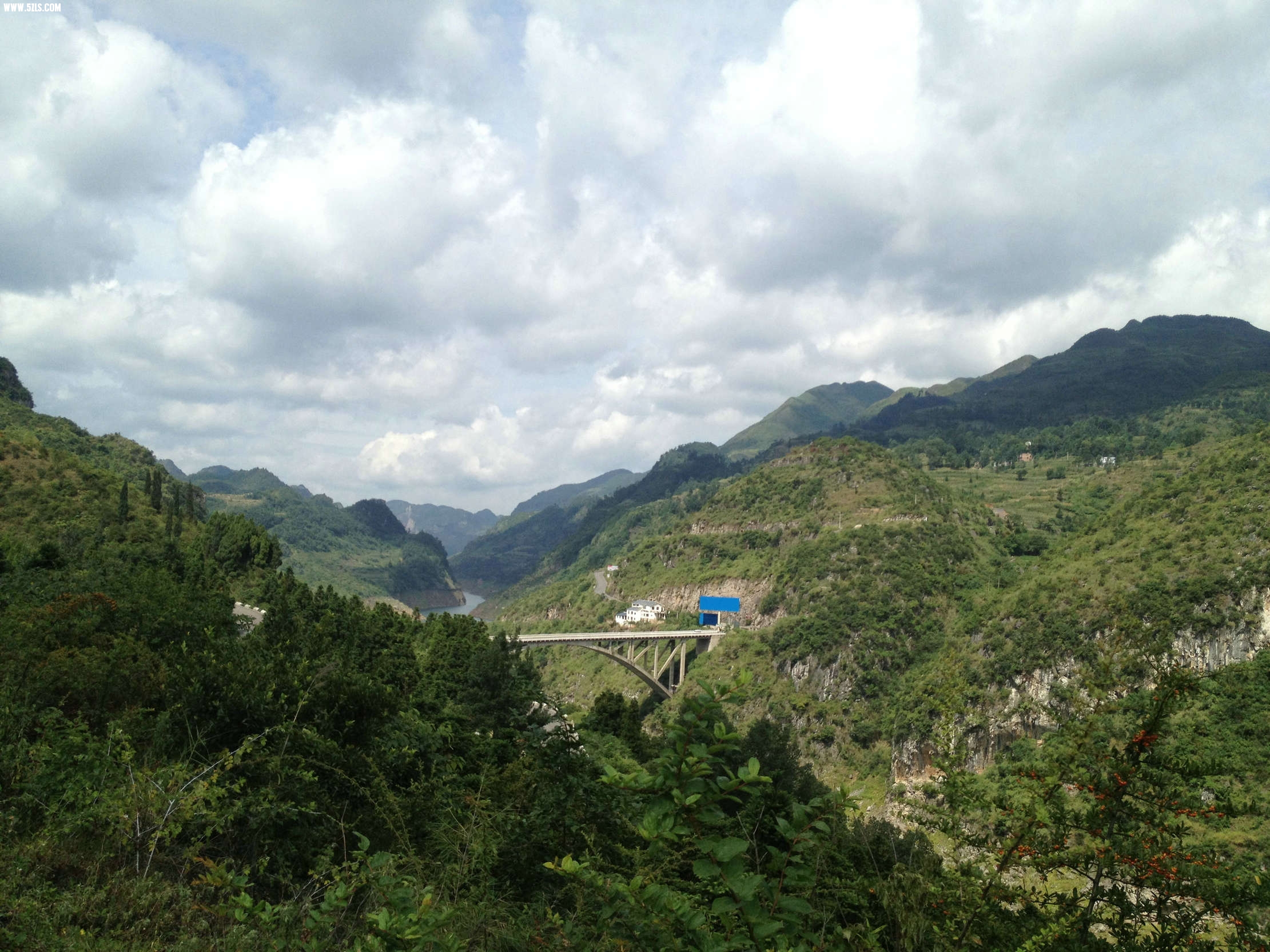 IMG_5782.jpg