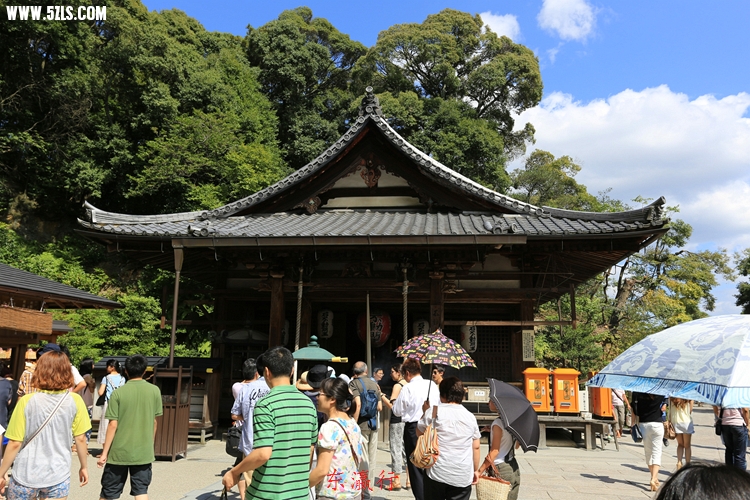 IMG_3904.jpg