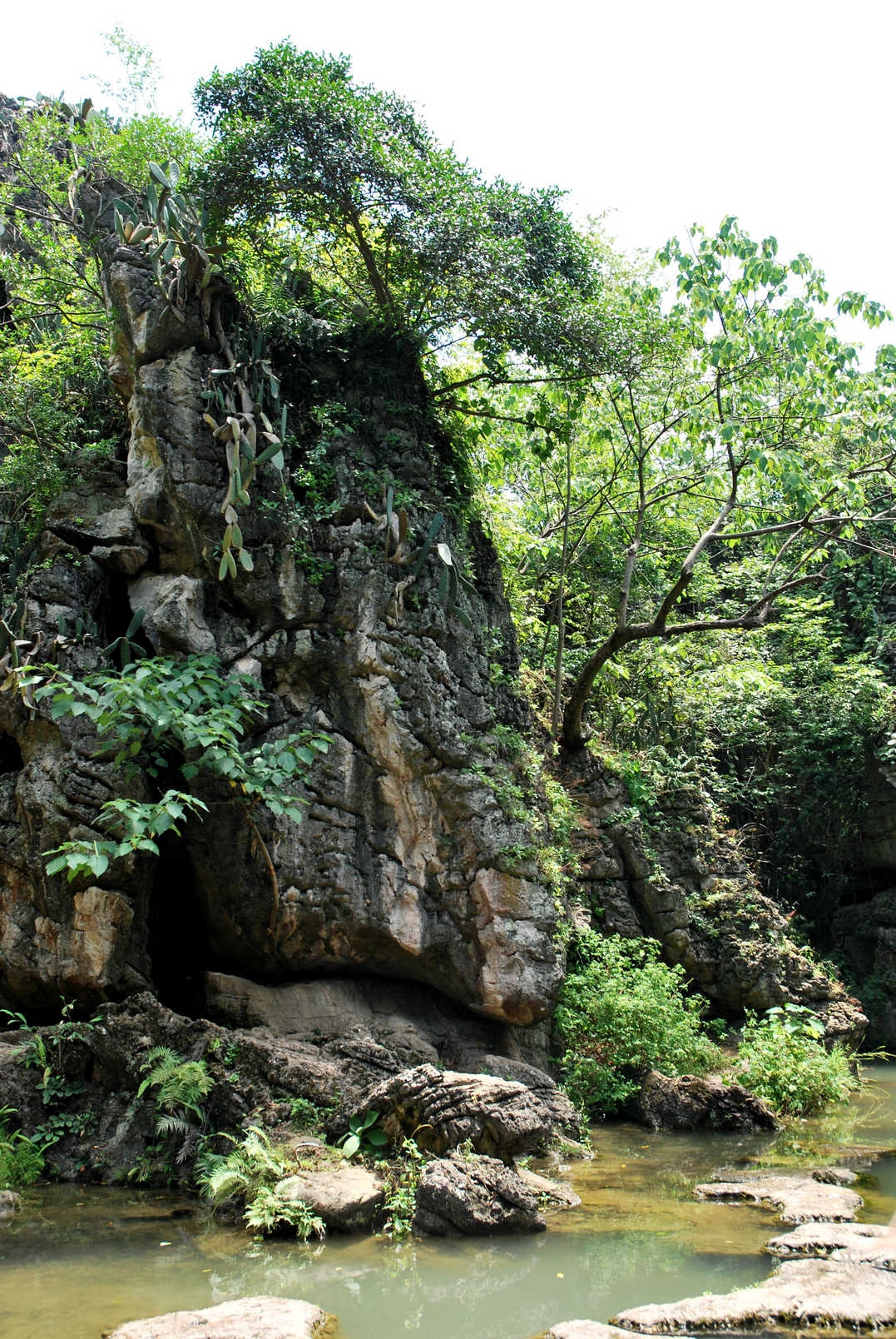 DSC_0195.JPG