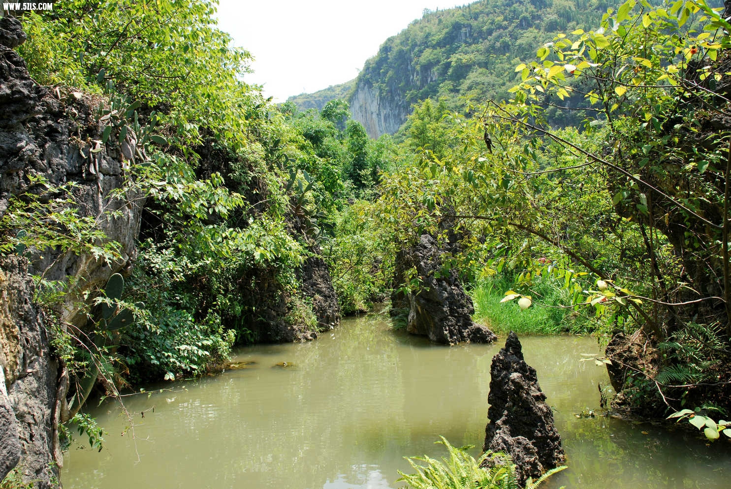 DSC_0210.JPG