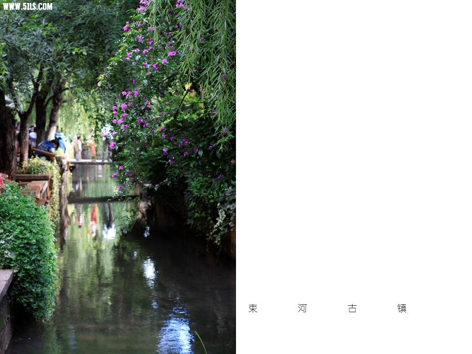 õƬ33.JPG