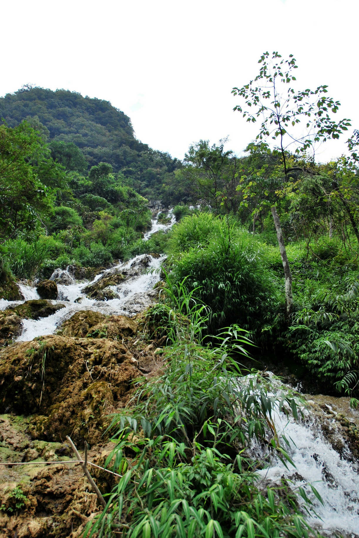 DSC_0503.JPG
