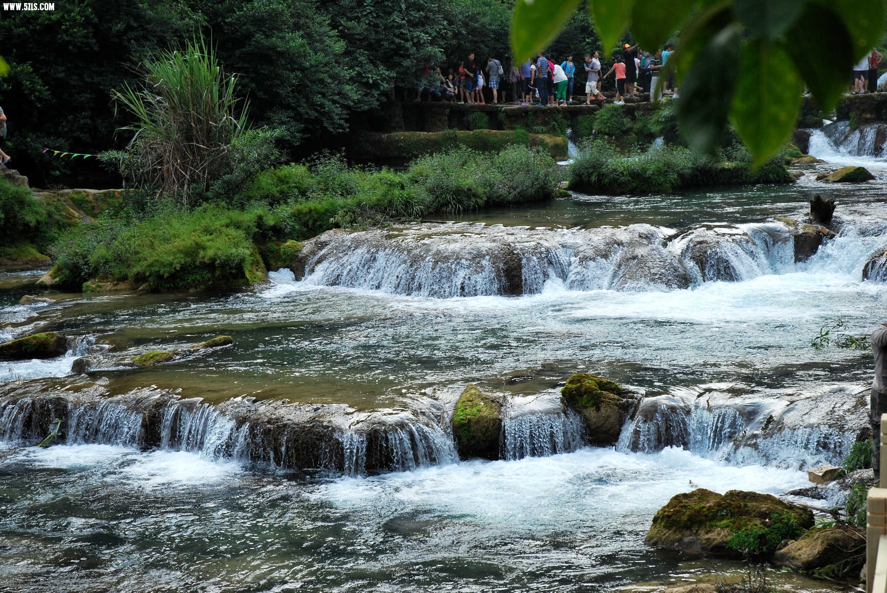 DSC_0658.JPG