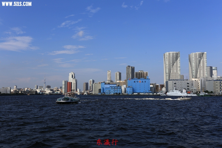 IMG_4299.jpg