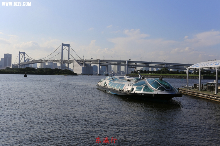 IMG_4337.jpg