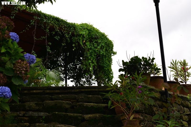 728_6609.JPG