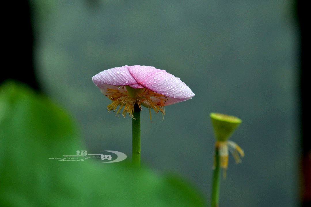 DSC_1570.jpg