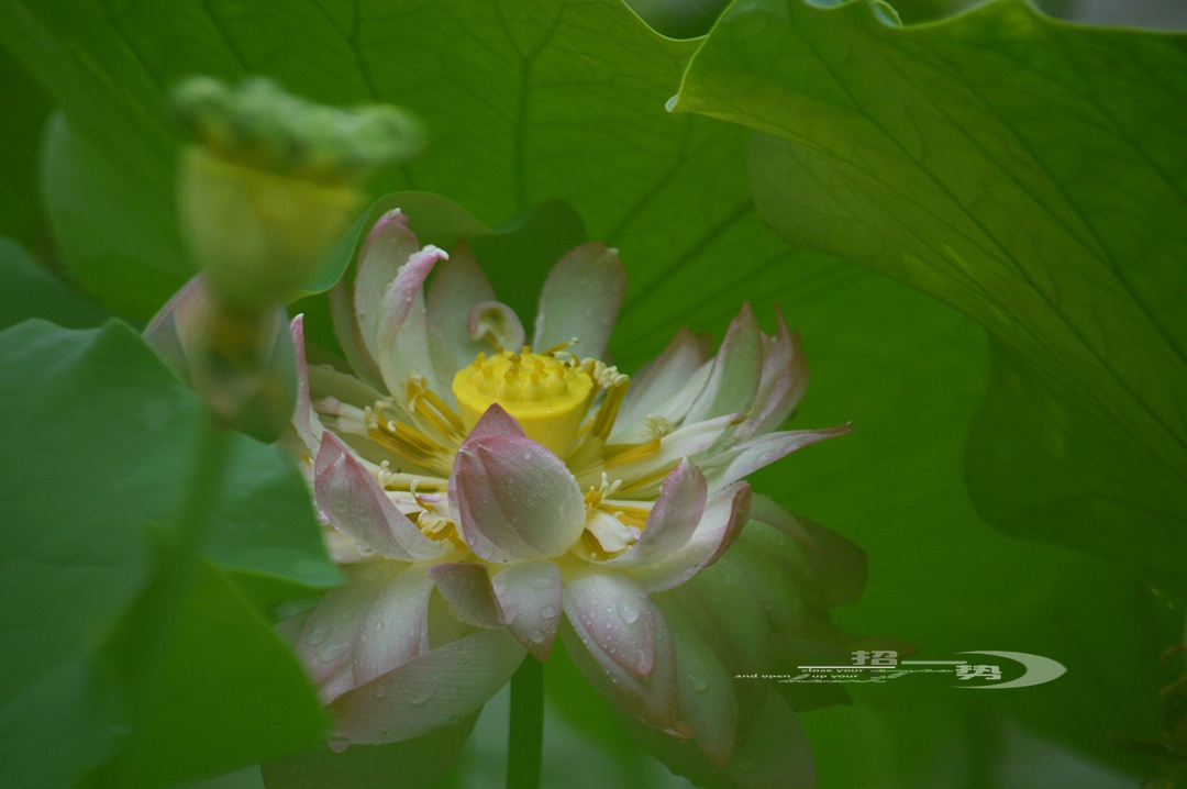 DSC_1697.jpg