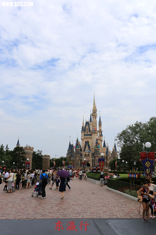 IMG_4471.jpg