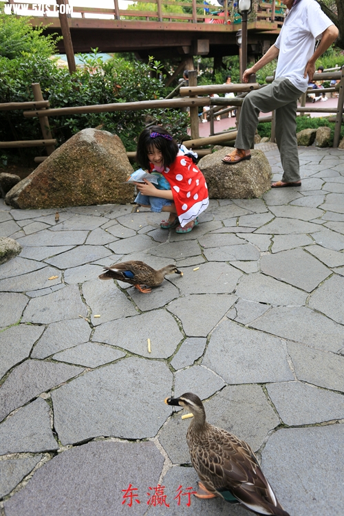 IMG_4483.jpg