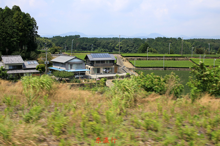 IMG_4736.jpg